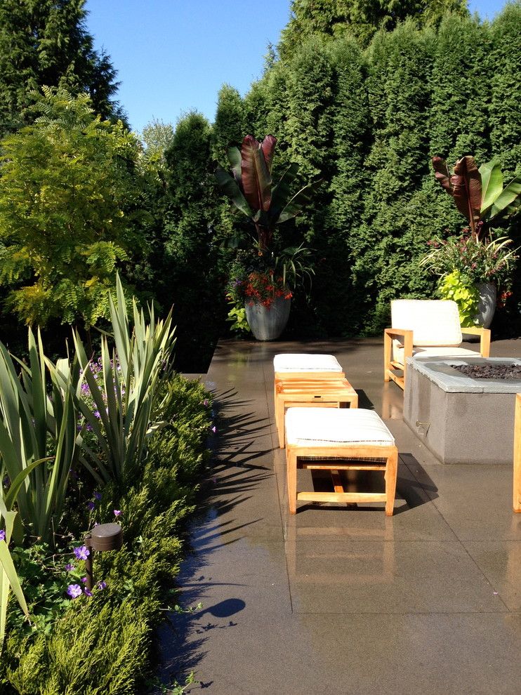 Acid Washed Concrete for a Contemporary Patio with a Pot and Sw Portland by Outdoor Scenery