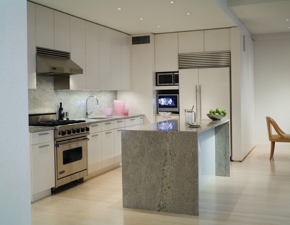 Albert Lee Appliance for a Contemporary Kitchen with a Stainless Steel Appliances and Soho Loft by Gary Lee Partners