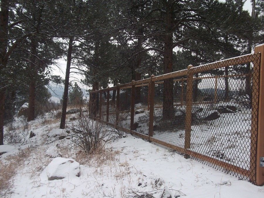 Alpine Fence for a Traditional Spaces with a See Through and Kittridge Mountain Top Dog Run by Alpine Fence of Colorado, Llc