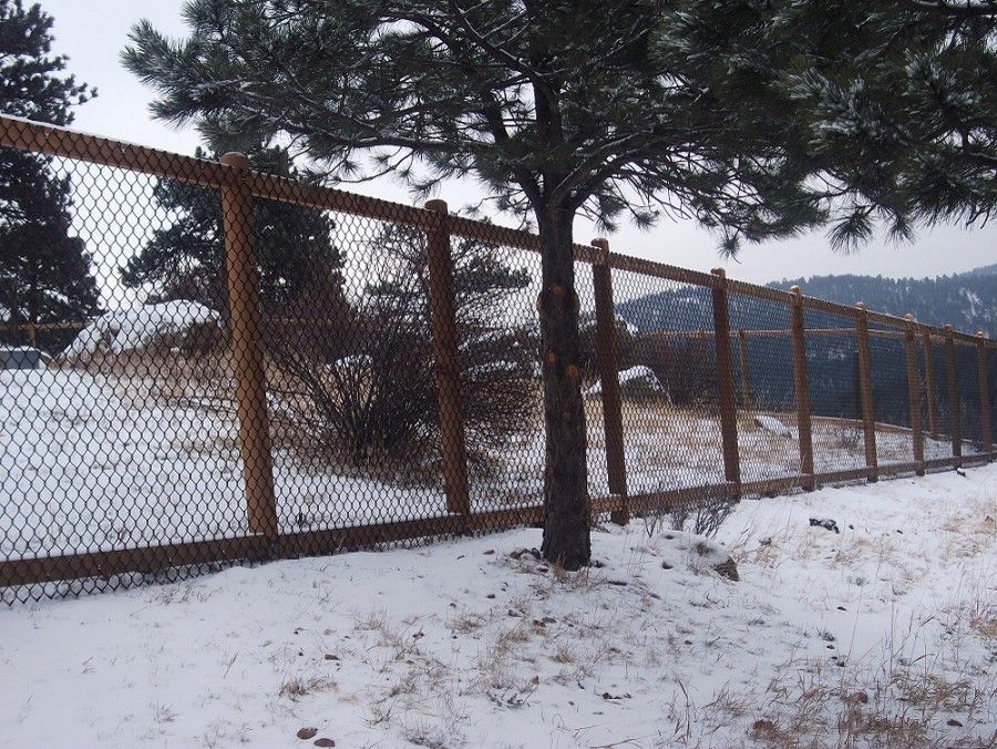 Alpine Fence for a Traditional Spaces with a See Through and Kittridge Mountain Top Dog Run by Alpine Fence of Colorado, Llc