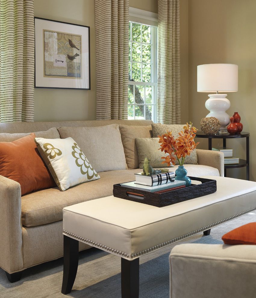 Ashley Furniture Chattanooga for a Transitional Living Room with a Gourd Lamp and Living Room by Rachel Reider Interiors