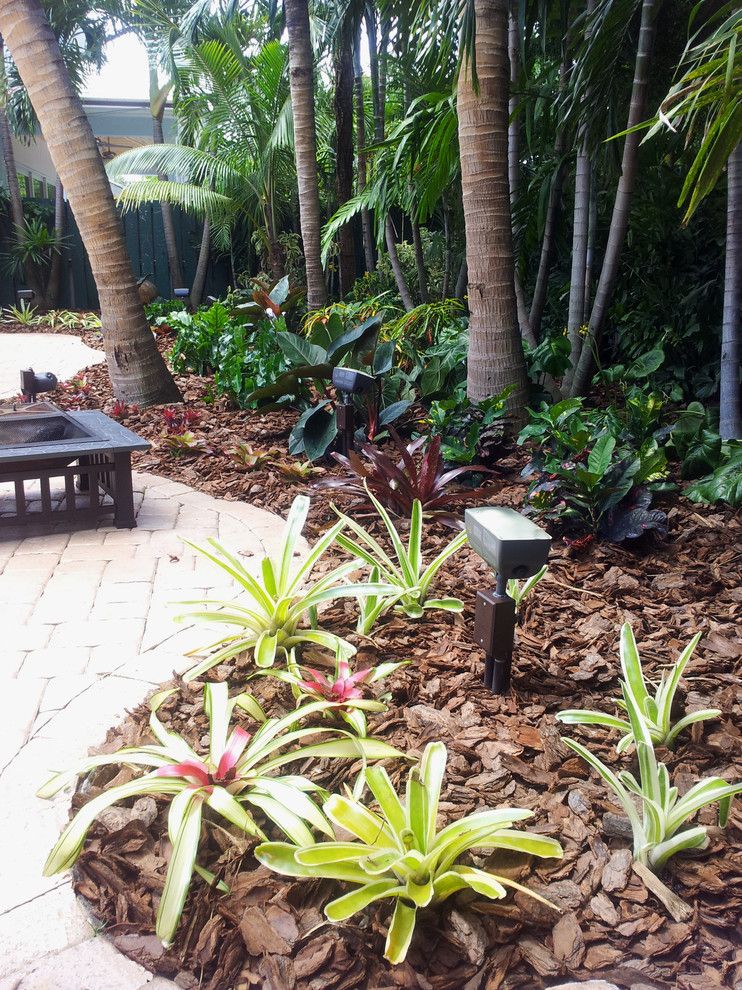 Backyard Makeover for a Tropical Landscape with a Tropical and Tropical Paradise   Backyard Makeover by Gardening Angel