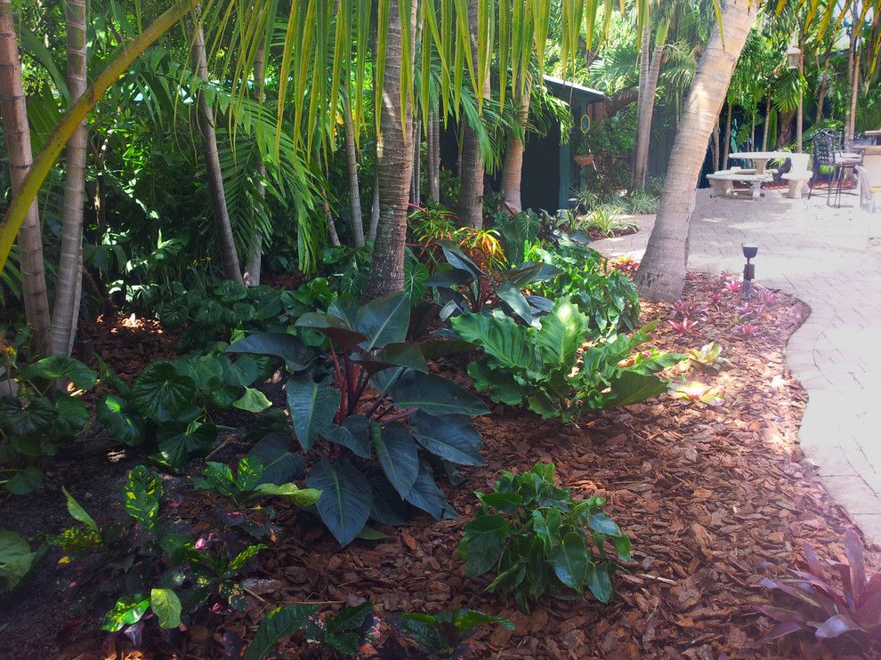 Backyard Makeover for a Tropical Landscape with a Tropical and Tropical Paradise   Backyard Makeover by Gardening Angel