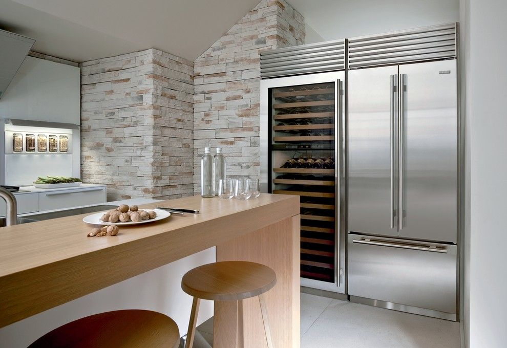 Berger Appliance for a Contemporary Kitchen with a Contemporary and Kitchens by Sub Zero and Wolf