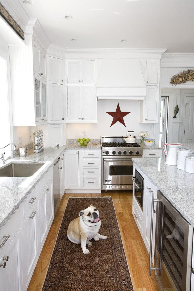 Boston Granite Exchange for a Traditional Kitchen with a Pets and Dog Lover's Kitchen by the Cabinetry