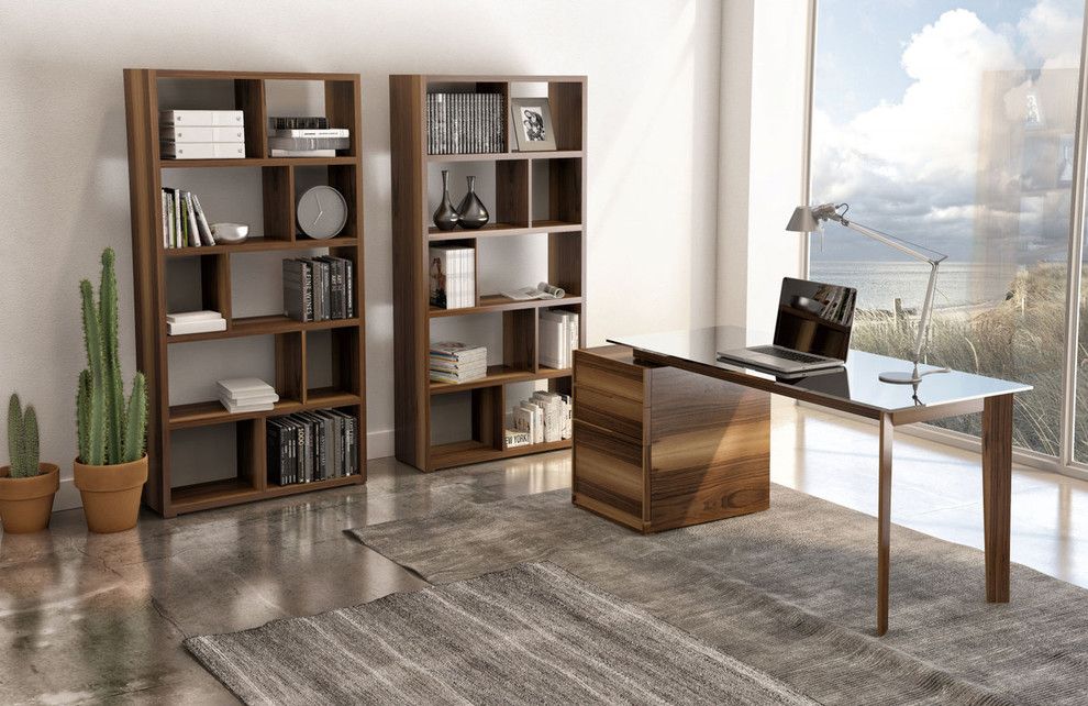 Bova Furniture for a  Home Office with a Bedroom and Our Projects by Bova Scottsdale