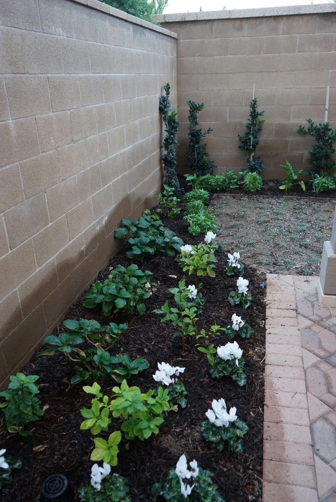 Broadway Carpets for a Transitional Exterior with a Cyclamen and New Home Installation by Broadway Botanicals