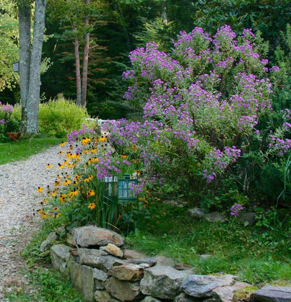 Brook Farm General Store for a  Landscape with a New England Aster and New England and New York Aster by Ellen Sousa/turkey Hill Brook Farm