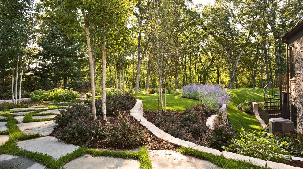 Chinese Pistachio Tree for a Contemporary Landscape with a Pavers and Windsor Companies by Windsor Companies