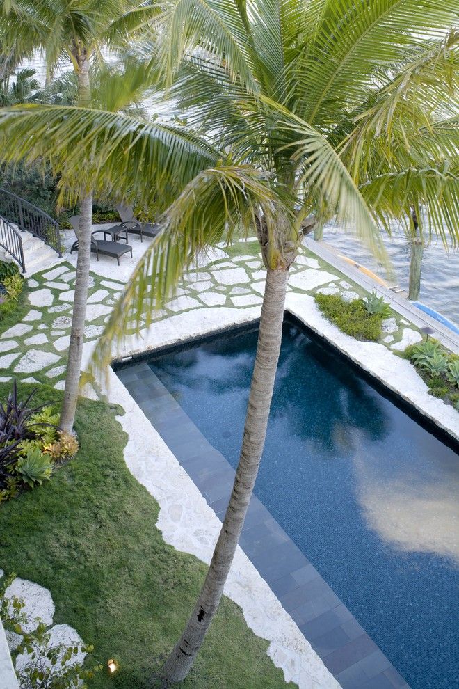 Clover Pools for a Tropical Pool with a Palm Trees and Residential Oasis by Epic Stoneworks, Inc.