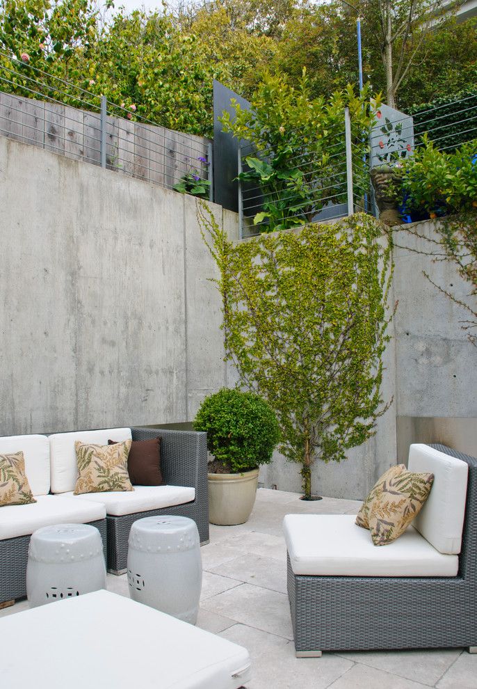 Concrete vs Asphalt for a Contemporary Patio with a Climbing Plants and Pacific Aveue House by Riaz Design