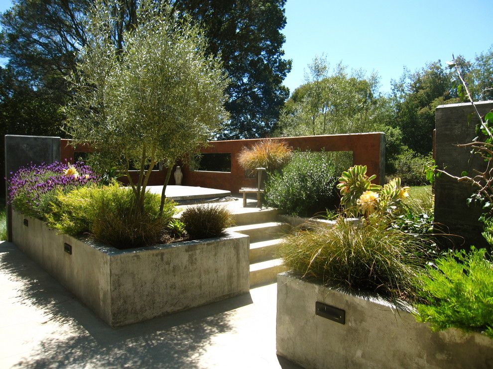 Concrete vs Asphalt for a Rustic Patio with a Grasses and Contemporary Patio by Kathleenshaefferdesign.com