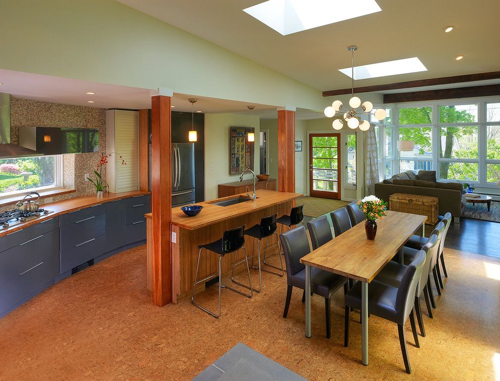 Crestview Doors for a Contemporary Kitchen with a Bamboo Counters and Bethesda Mid Century Addition/renovation by Balodemas Architects