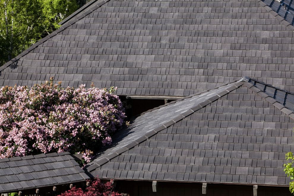 Davinci Roofscapes for a Contemporary Exterior with a Shingle Roof and Davinci Roofscapes by Davinci Roofscapes