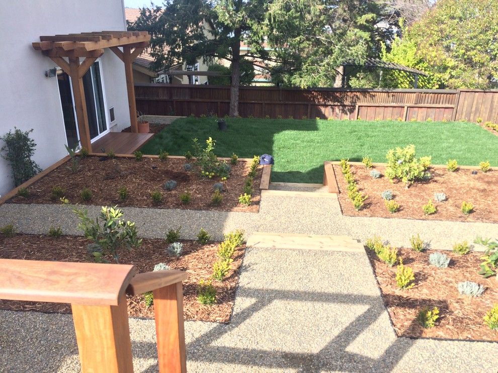 Delta Bluegrass for a Contemporary Landscape with a Boxwood Green Beauty and Corte Madera Classic by the Land Collaborative