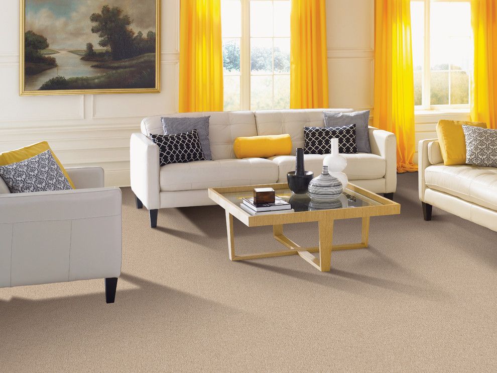 Desert Liquidators for a Traditional Spaces with a Flooring and Living Room by Carpet One Floor & Home