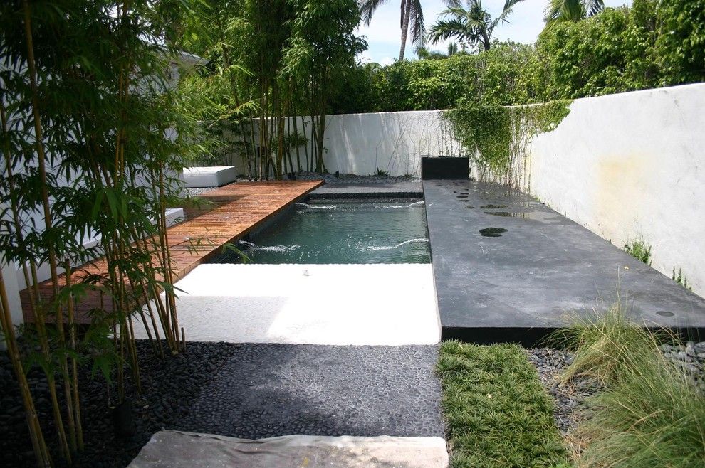 Diamond Brite for a Asian Pool with a Plaster and Balinese Glass Tile Pool by Foreverpools