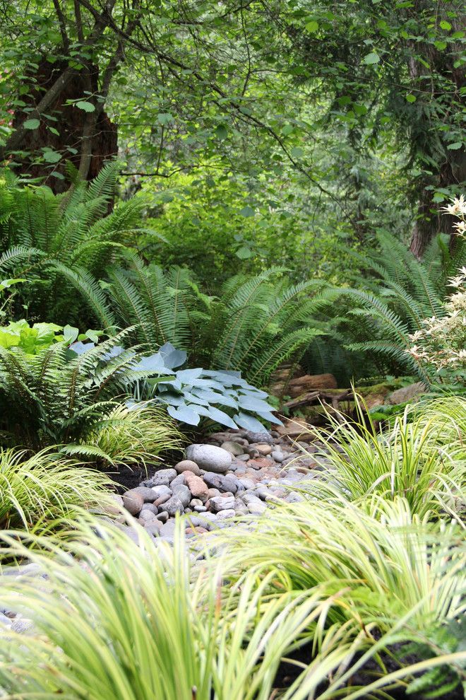 Directv Rio for a Contemporary Landscape with a Native and Lytle Road, Bainbridge Island   Shaded Creek by Bliss Garden Design