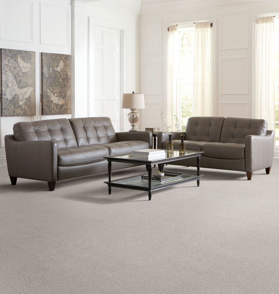 Dixie Carpet for a Traditional Living Room with a Carpets Carpet Tiles and Living Room by the Dixie Group: Carpet & Rugs