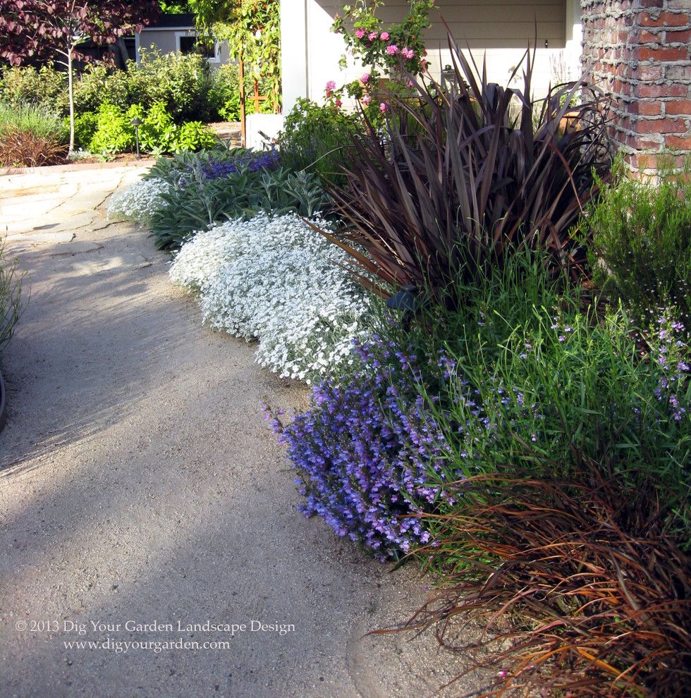 Drainage Ditch for a Mediterranean Landscape with a Beautiful Plant Combination and Plant Combinations   Northern California Gardens by Dig Your Garden Landscape Design