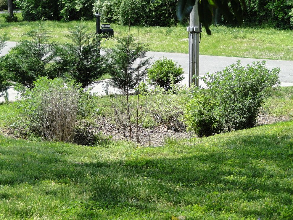 Drainage Ditch for a Traditional Landscape with a Sustainable and Renovation in Franklin, Tn by Sullivan Design & Construction, Llc