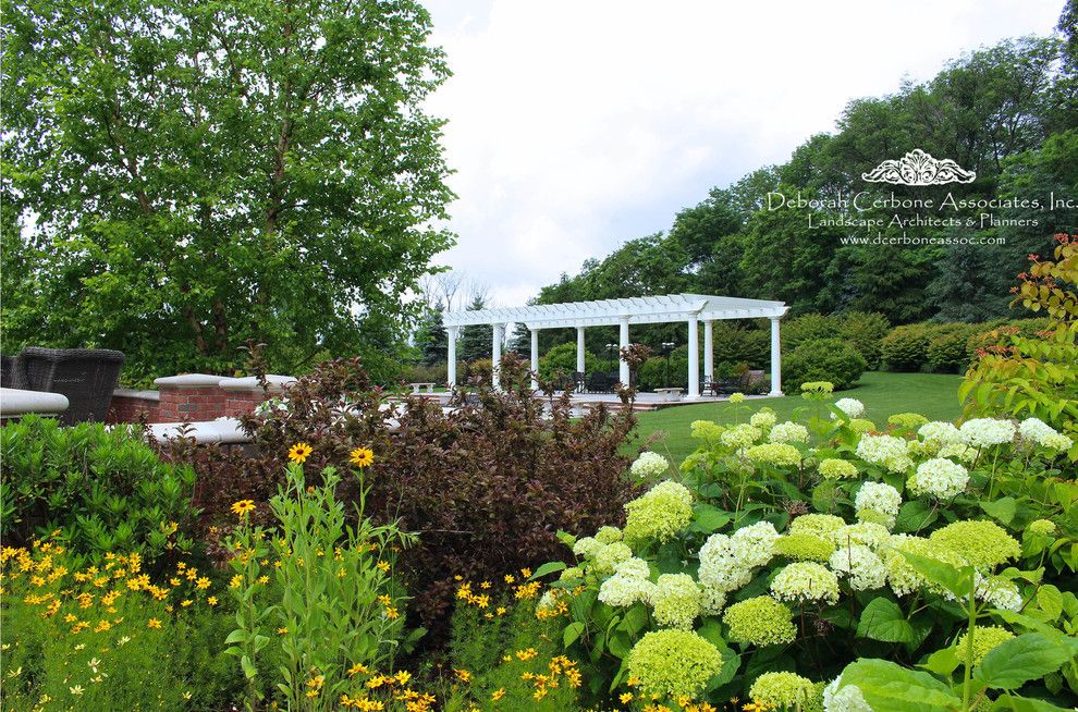 Fairway Lawns for a Traditional Spaces with a Hydrangea and Fairway Manor Home by Deborah Cerbone Associates, Inc.