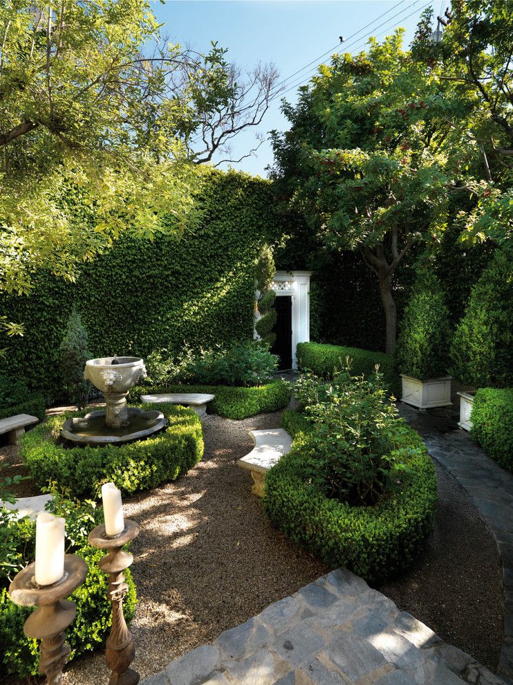 Ficus Nitida for a Traditional Landscape with a Hedges and Luxe West Hollywood Residence by Philip Nimmo Design