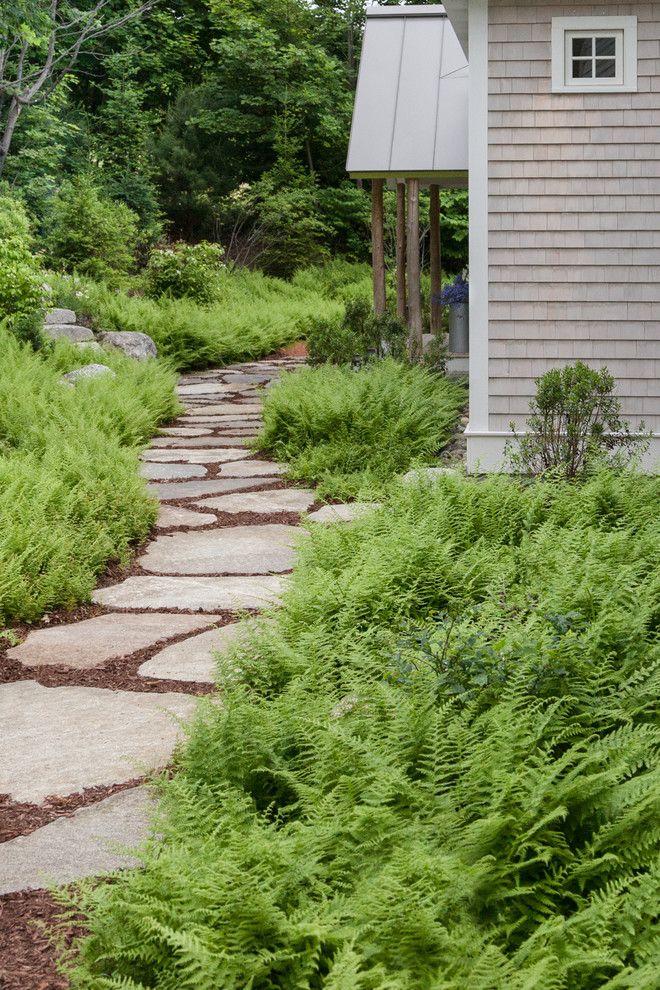 Flagstone Path for a Beach Style Landscape with a Fern Garden and Clamshell Alley by Matthew Cunningham Landscape Design Llc