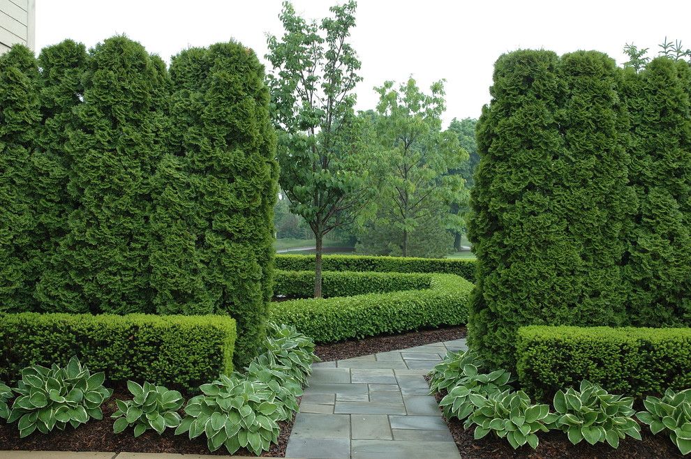 Flagstone Path for a Traditional Landscape with a Arborvitae and Formal Graden Path with Arborvitae and Boxwood by Land Architects, Inc.