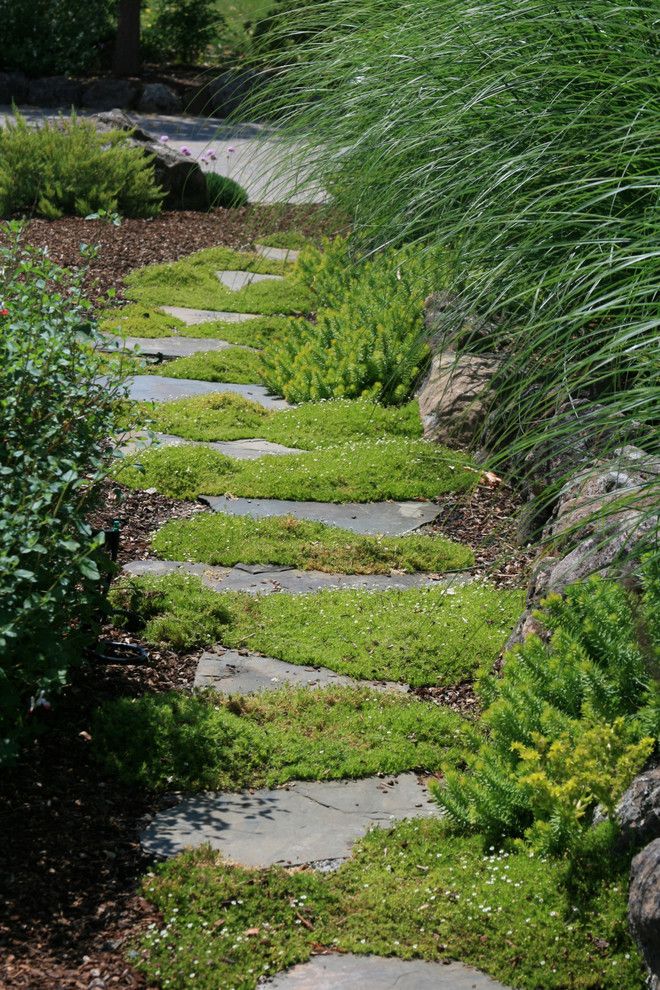 Flagstone Path for a Traditional Landscape with a Planter and Mossy Stepping Stone Path by Ami Saunders, Mla