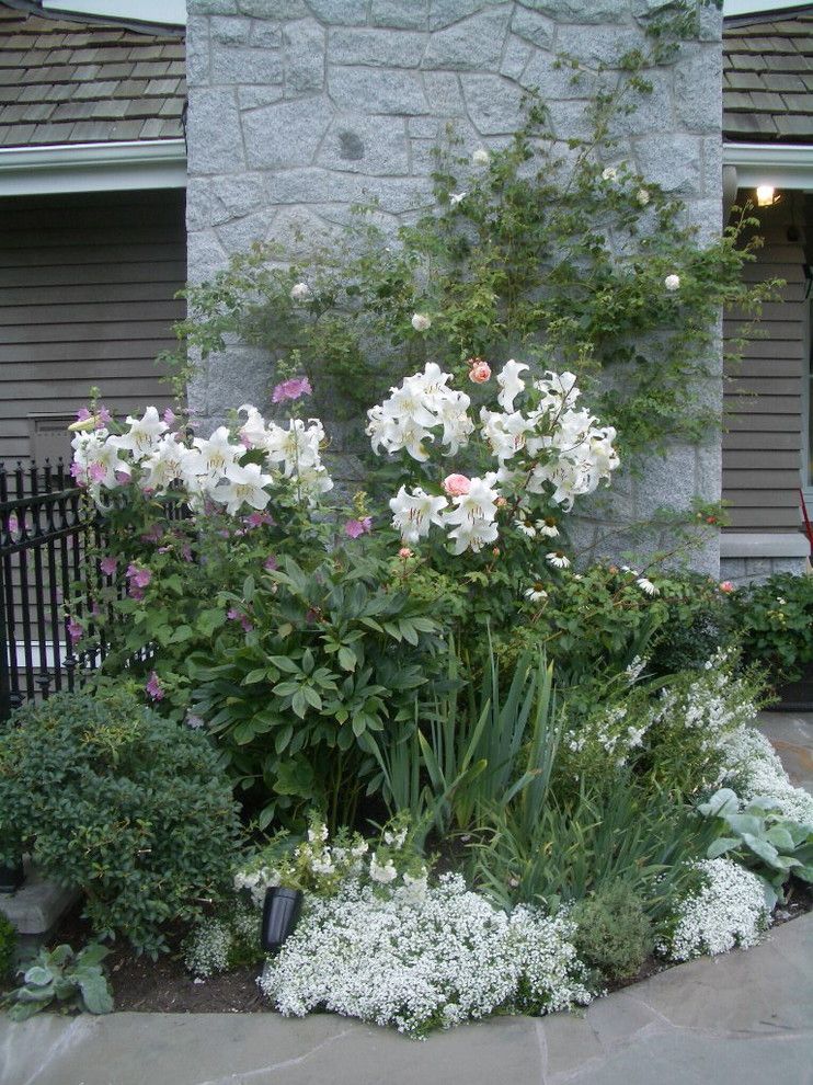 Fruit Basket Flowerland for a Traditional Landscape with a Vancouver and White Garden by Glenna Partridge Garden Design