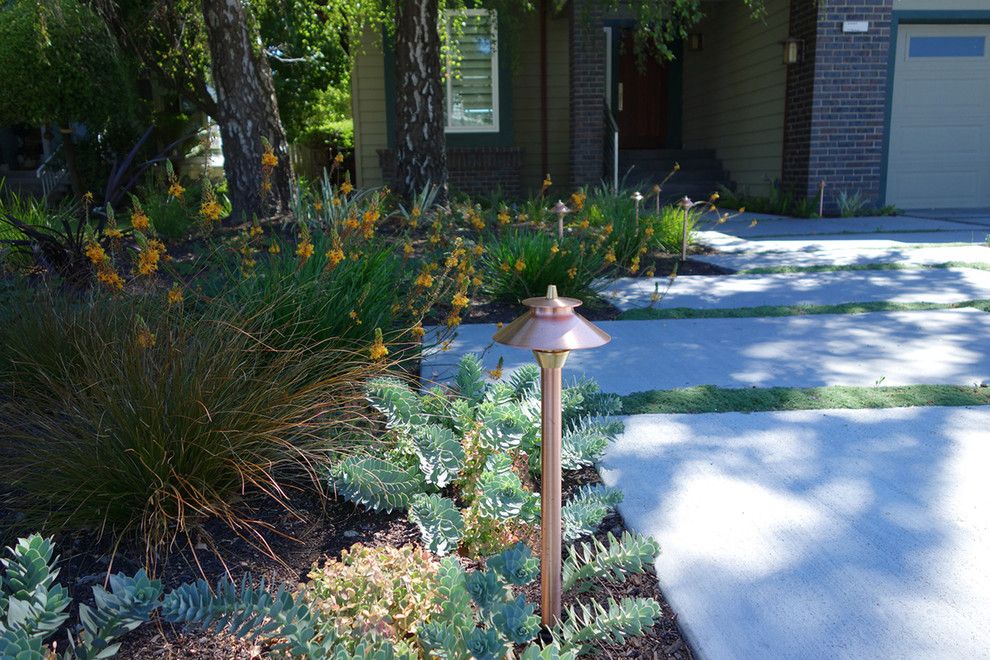 Fx Luminaire for a Modern Landscape with a Novato Landscape and Modern Water Side Landscape Remodel   Front, Bel Marin Keys, Novato, Ca by Dig Your Garden Landscape Design