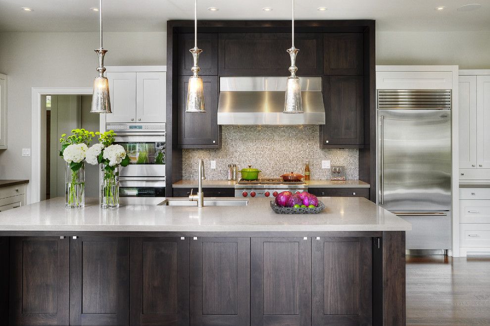 Galley Kitchen Ideas for a Transitional Kitchen with a Pendant Lighting and Sleek Home in Oakville (1206) by Braam's Custom Cabinets