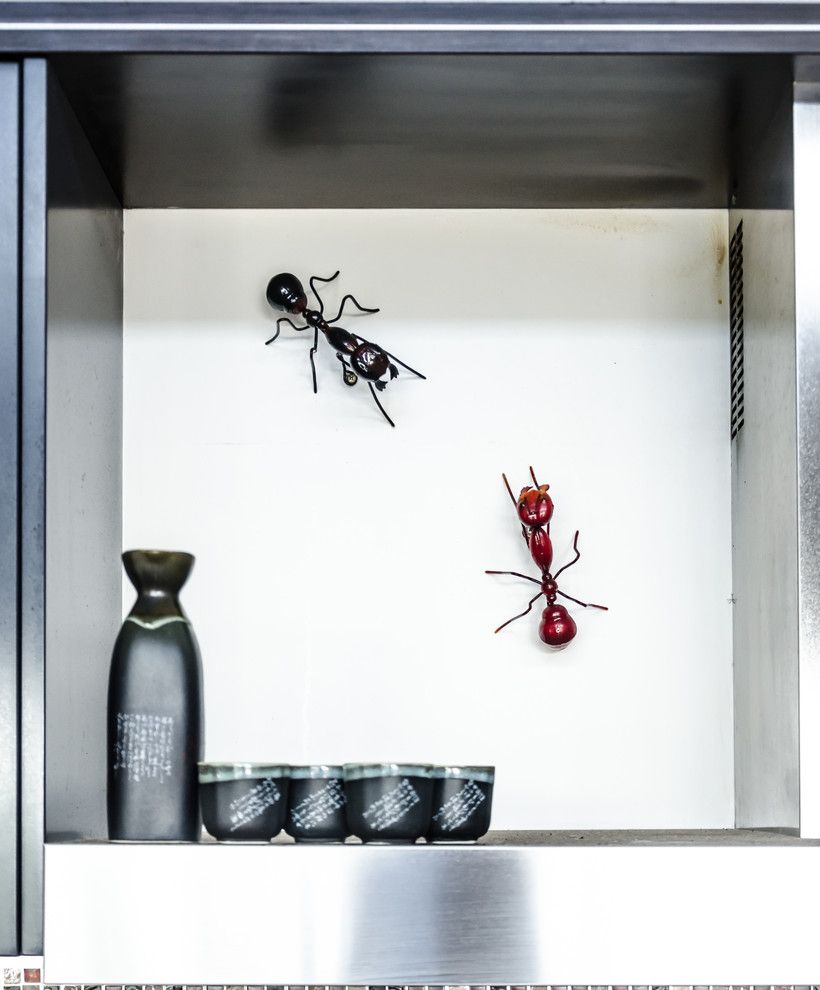 Get Rid of Fruit Flies for a Tropical Spaces with a Ants and Gold Coast Residence by Katische Haberfield  Photographer