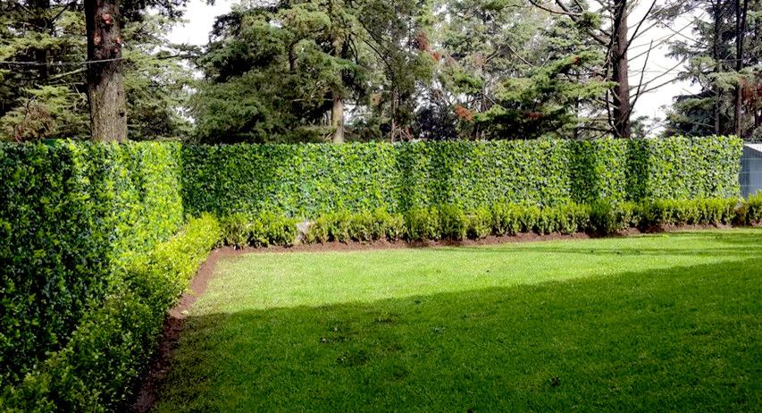 Green Demolitions for a Traditional Landscape with a Plant Fence and Privacy Solutions with Greensmart Decor by Greensmartdecor