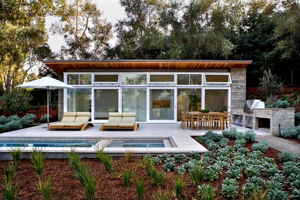 Griffin Pools for a Contemporary Pool with a Bark Mulch and Atherton Residence by Turnbull Griffin Haesloop