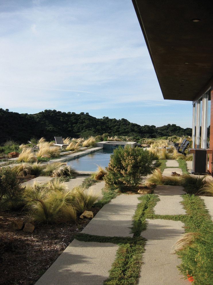 Griffin Pools for a Modern Landscape with a Feather Grass and Topanga Canyon Residence by Gel: Griffin Enright Landscape