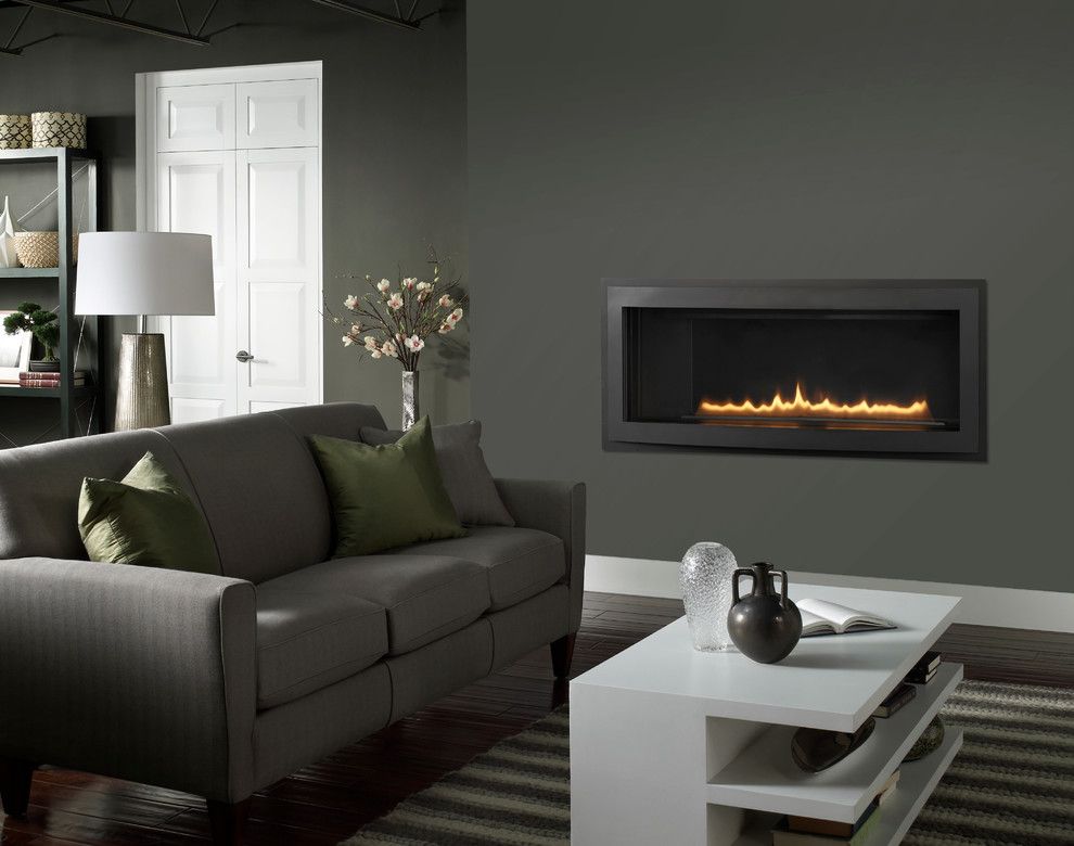 Heatilator for a Contemporary Living Room with a Gas Fireplaces and Heatilator Rave Series   42