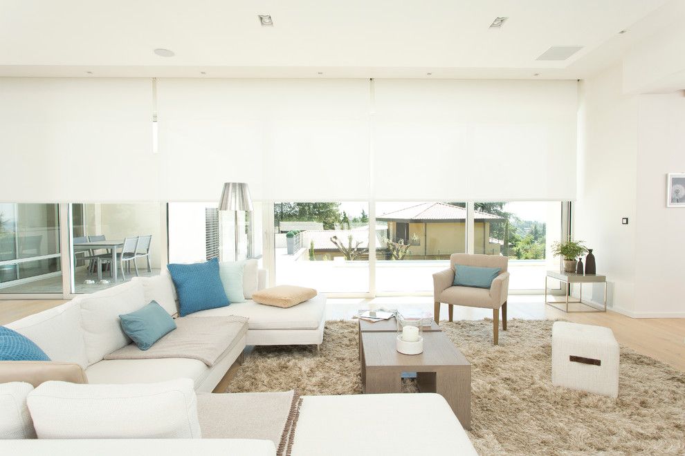 Hemispheres Furniture for a Modern Living Room with a Beige Rug and Somfy by Somfy