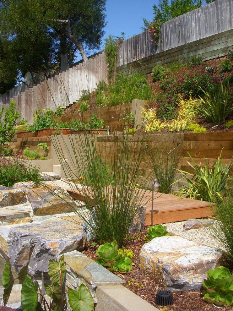 Hillside Landscaping for a Contemporary Landscape with a Raised Beds and Encinitas Out Door Kitchen by Verdescape Inc