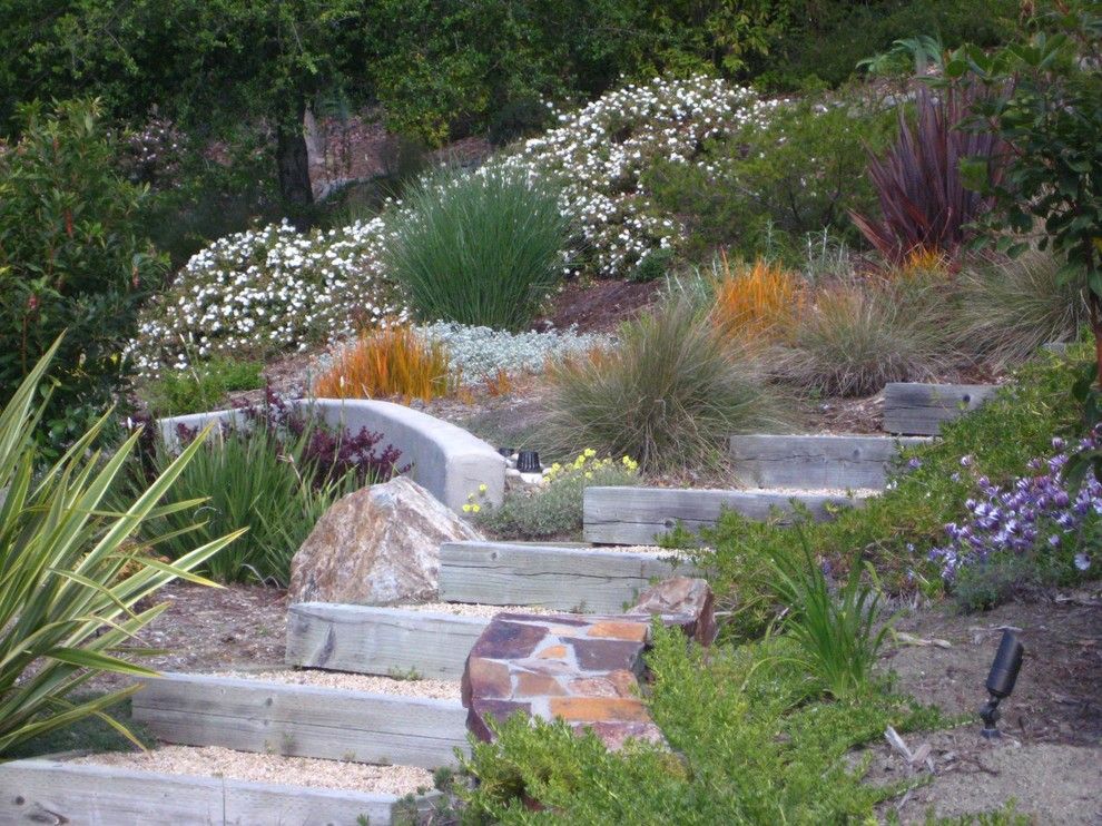 Hillside Landscaping for a Mediterranean Landscape with a Steps on a Hillside and Canyon Retreat by Dancing Leaf Designs