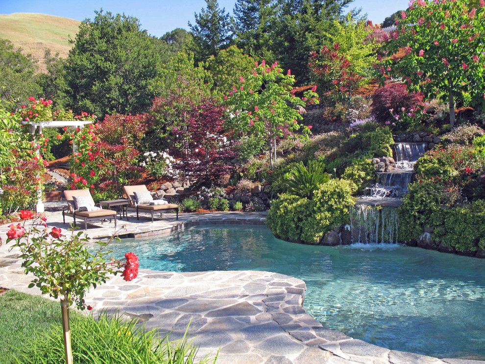 Hillside Landscaping for a Traditional Landscape with a Backyard and Hillside Landscape · Natural · Hillside Swimming Pool and Spa · Waterfall by Alder Group, Pool and Landscape Co.