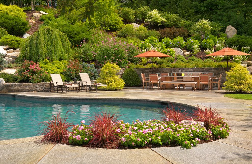 Hillside Landscaping for a Traditional Pool with a Terrace and Sudbury Residence by Sudbury Design Group