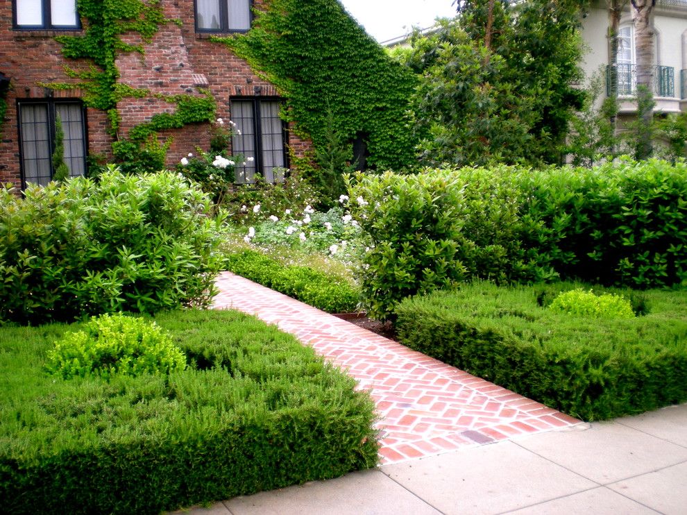 Hollyhock House for a Traditional Landscape with a Boxwood Spheres and English Manor House by Mayita Dinos Garden Design