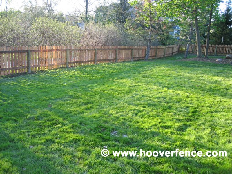 Hoover Fence for a Contemporary Spaces with a Dog Ear Fence and Cedar Picket Fence by Hoover Fence Company