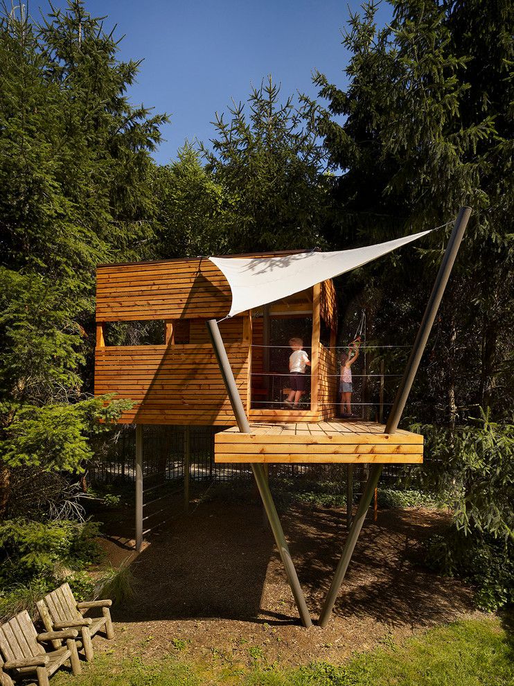 How to Get Rid of Fruit Flies in House for a Contemporary Kids with a Tree House and for Fun: A Tree House by Verner Architects