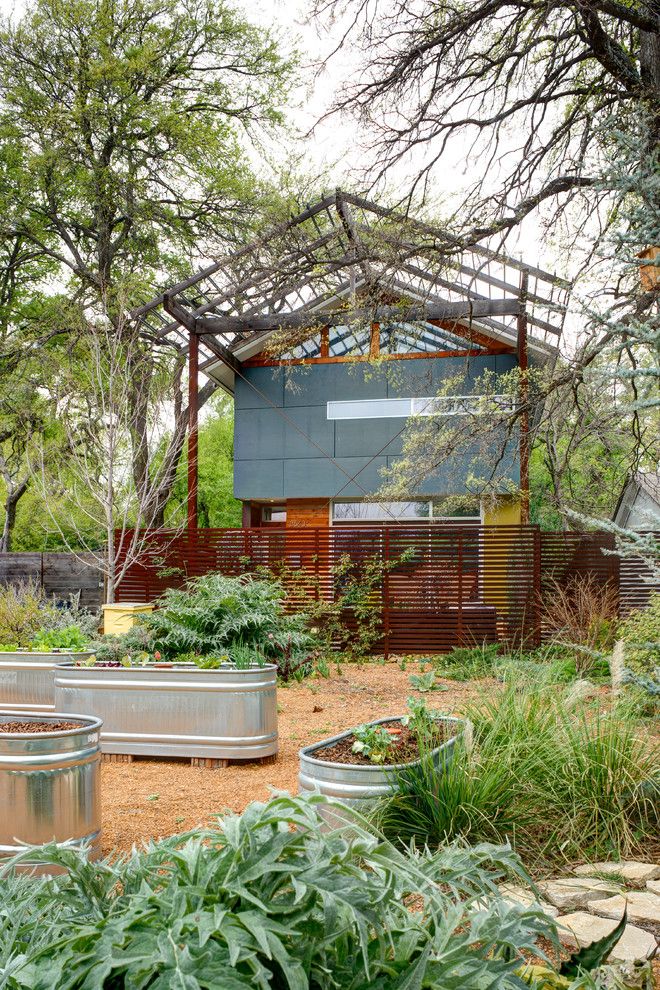 How to Grow Sunflowers for a Contemporary Landscape with a Metal Grate and Groveland House by A.gruppo Architects   Dallas