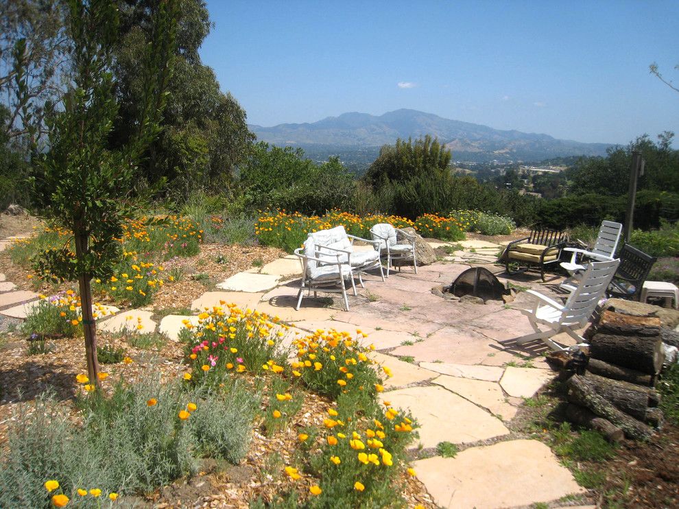 How to Grow Sunflowers for a Eclectic Patio with a Patio Seating and Outdoor Patio with Fire Place by Golden Associates, Landscape Architects