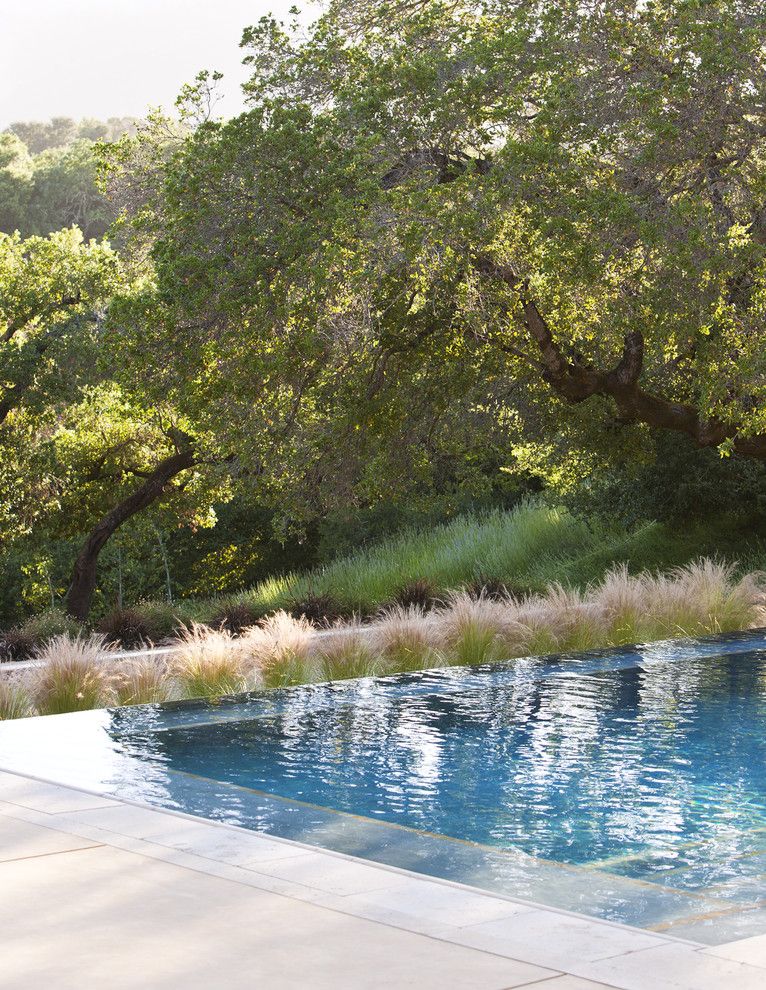 Infinity Edge Pool for a Contemporary Pool with a Low Water Grasses and Vanishing Edge Pool by Arterra Landscape Architects