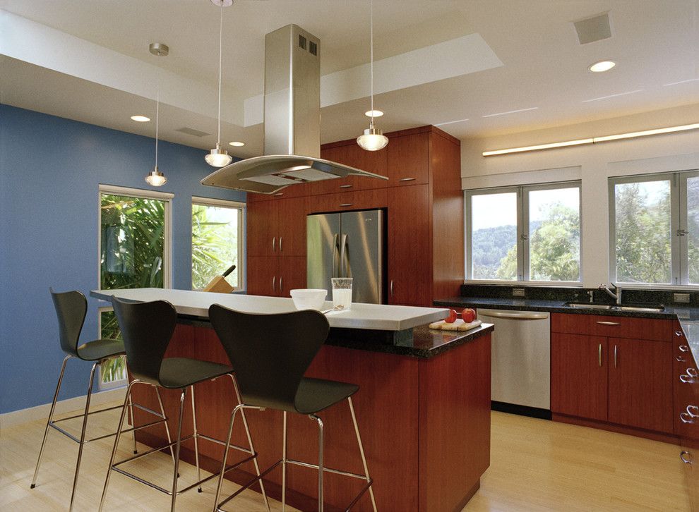 Jesco Lighting for a Contemporary Kitchen with a Hardwood Floors and Larkspur Remodel by Michael Tauber Architecture